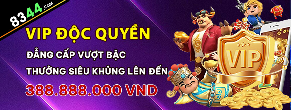 betvdn