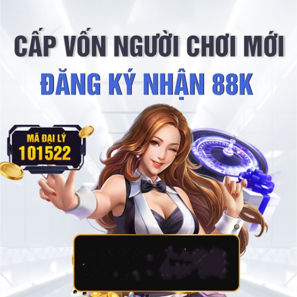 betvdn