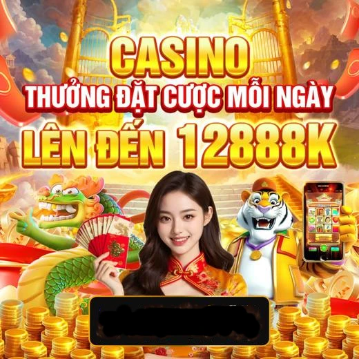 betvdn