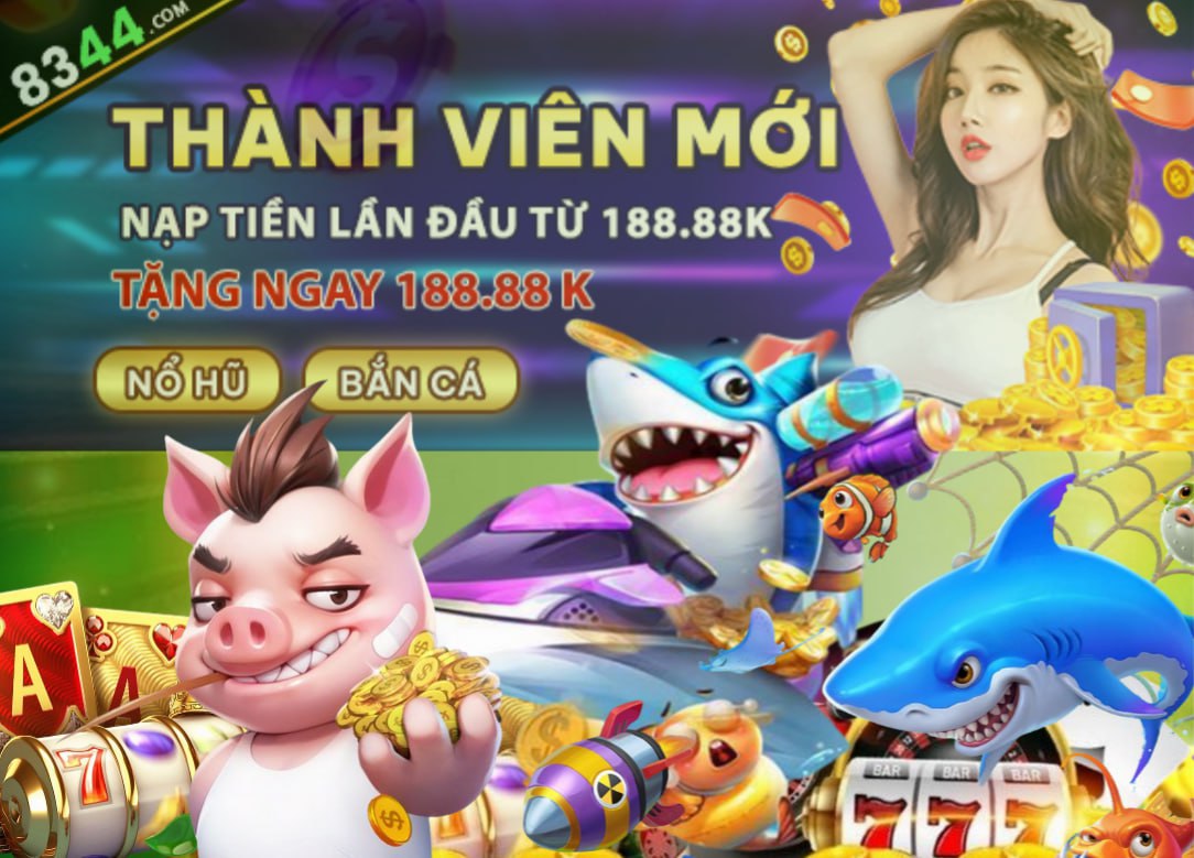 betvdn