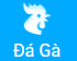 betvdn